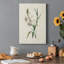 «Traditional Botanical IV», impression sur toile tendue-1109877876