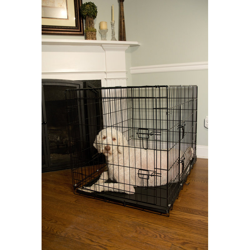Caisse pour animaux Cecere, H 20 po x l 18 po x P 24 po