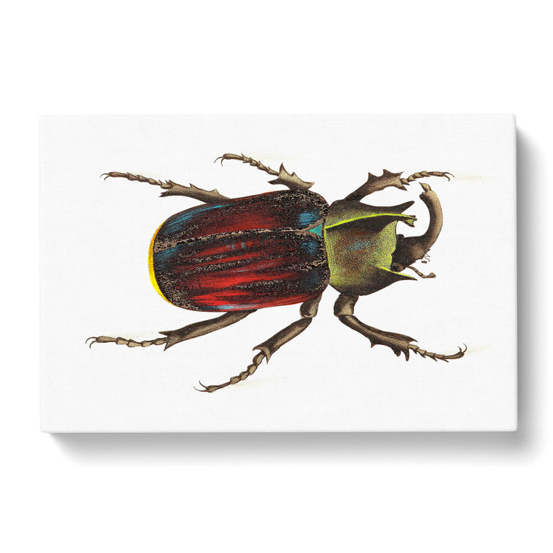 Typhon Beetle by George Shaw - Wrapped Canvas, 40cm H x 60cm W x 3cm D