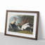 Eider Duck by John Audubon - Picture Frame Painting Print-55539724-55539726