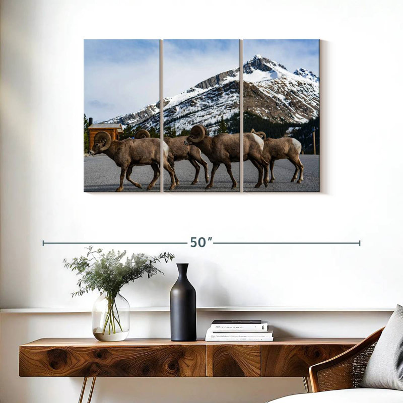 Bighorn Sheep Crossing