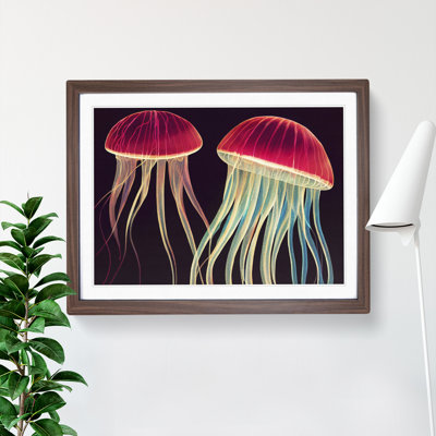 Two Jellyfish - Single Picture Frame Print