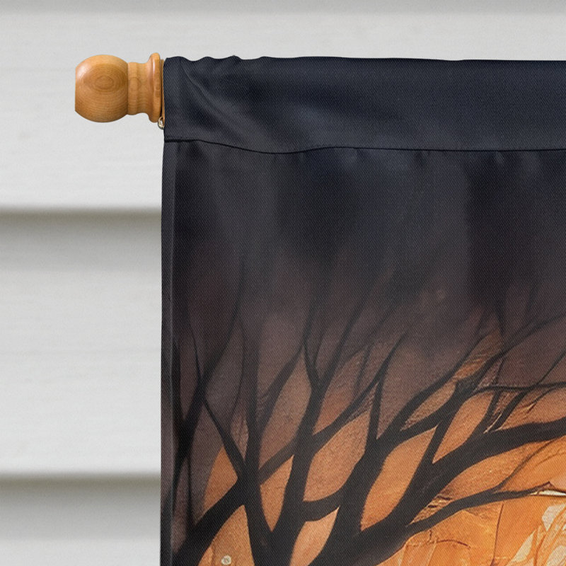 Drapeau de maison d'Halloween en polyester à double face H 40 po x l 28 po