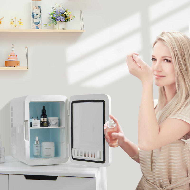 Costway 10m³ L Freestanding Mini Fridge
