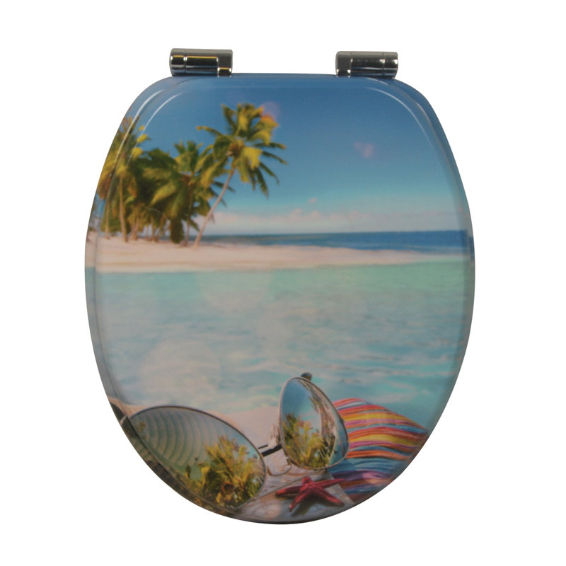 Soft Close Elongated Toilet Seat