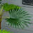 135cm Faux Palm Tree in Pot