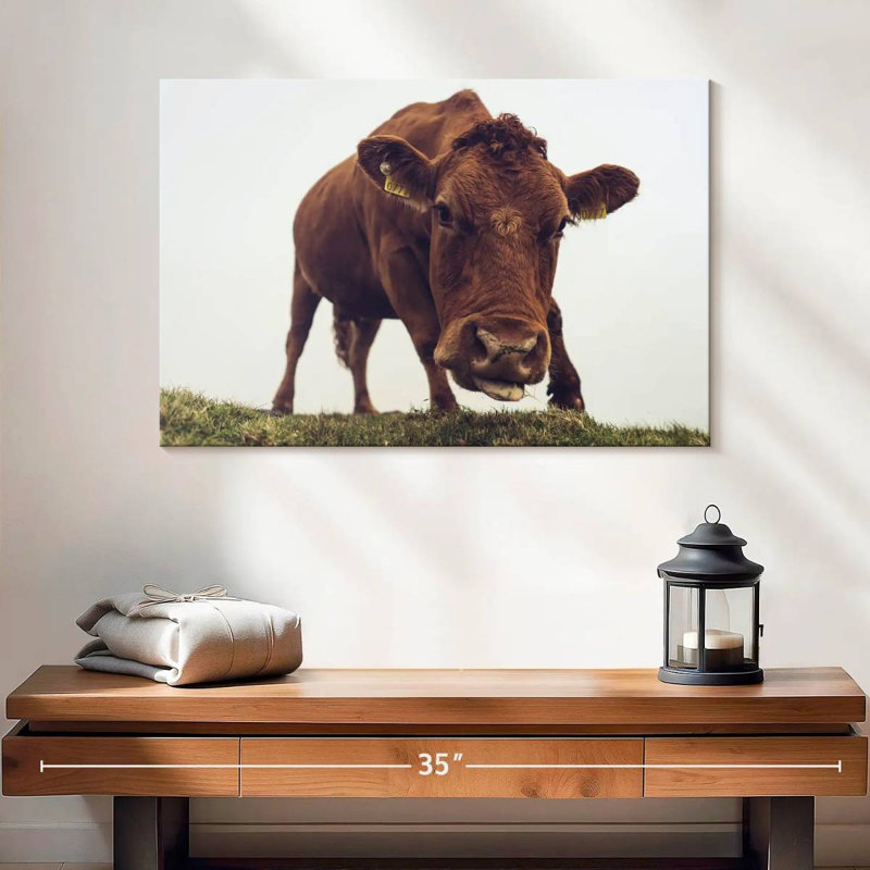 Chocolate Cow Face, 16" H x 24" W
