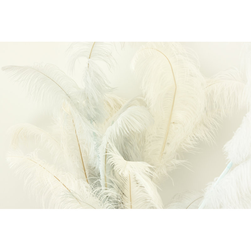 Ostrich feather, 51cm H x 76cm W