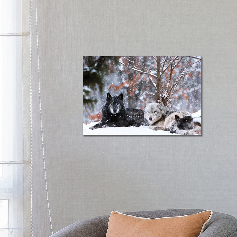 Family Portrait by Eiji Itoyama - Wrapped Canvas Gallery-Wrapped Canvas Giclée, 66.04 cm H x 45.72 cm W x 1.91 cm D
