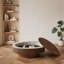 Table basse Mid-Century ovale avec rangement caché, placage de bois massif à finition brune