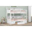 Bunk Bed With Built-In Shelves Beside Both Upper And Down Bed And Storage Drawer-276116269