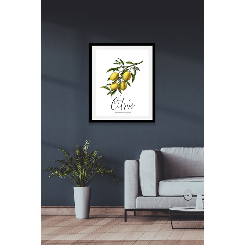 Citrus - Single Picture Frame Print, 70cm H x 50cm W