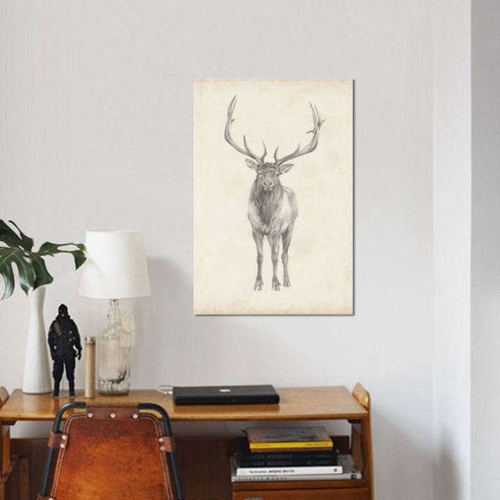 «Elk Study», reproduction sur toile, H 18 po x l 12 po x P 1,5 po, Toile tendue, Pas de tapis