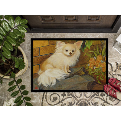 Non-Slip Outdoor Doormat