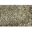 Tapis gris / beige en laine noué à la main à motif oriental de 12 pi 3 po x 8 pi 11 po Paighton