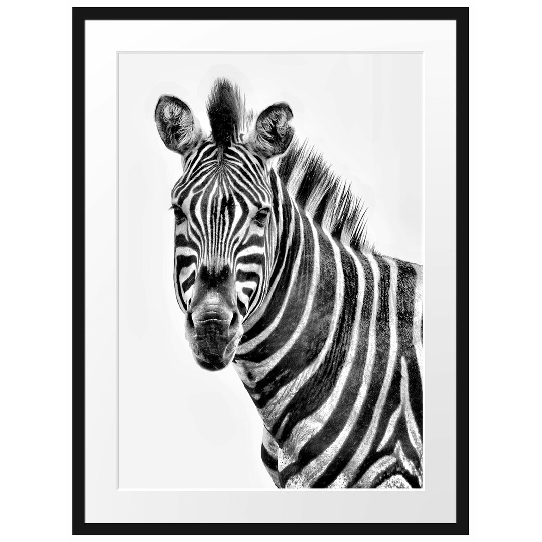 Gerahmtes Poster Zebra im Portrait