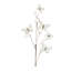 Brindille papillon-577135884