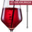 Stainless Steel Wine Pourer