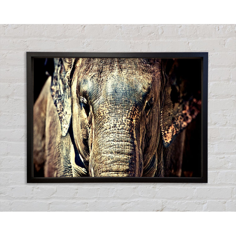 Single Picture Frame Print on Canvas