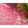 Maxence Oriental Indoor Rug