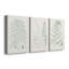 Verdure Ferns I - ensemble de 3 peintures sur toile tendue-1679901569