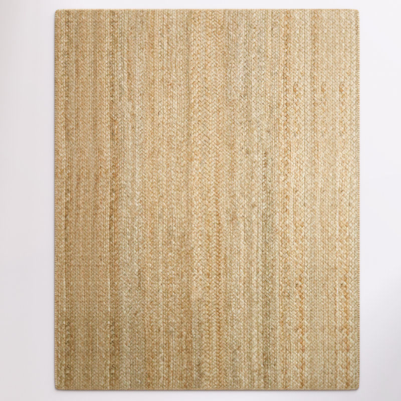 Kayleigh Hand Braided Area Rug, Rectangle 2'4" x 4'
