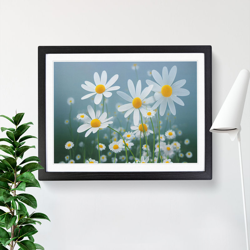 XH1022-9683X Vivacious Daisy Flowers - Single Picture Frame Print, Black, 46cm H x 64cm W