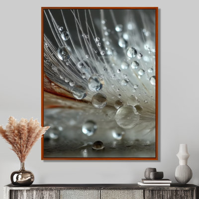 Winter Feather Water Droplets - Abstract Collages, art mural blanc contemporain