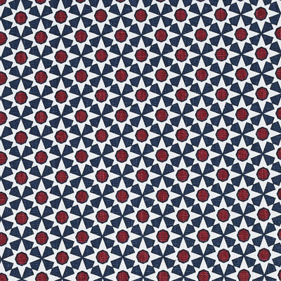 Serendipity Fabric