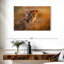Adorables lionceaux Brampt-108819043