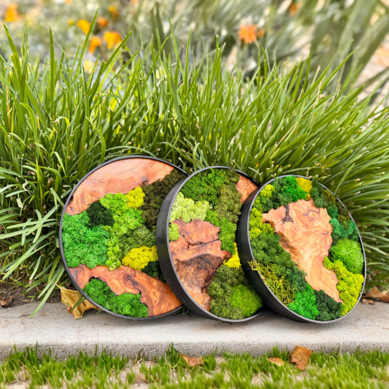 Natural Cedar Wood & Preserved Moss Wall Art - Handcrafted Round Décor, 16" H x 16" W x 1 " D