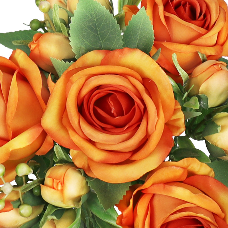 Doux jet de rose délicat, Orange