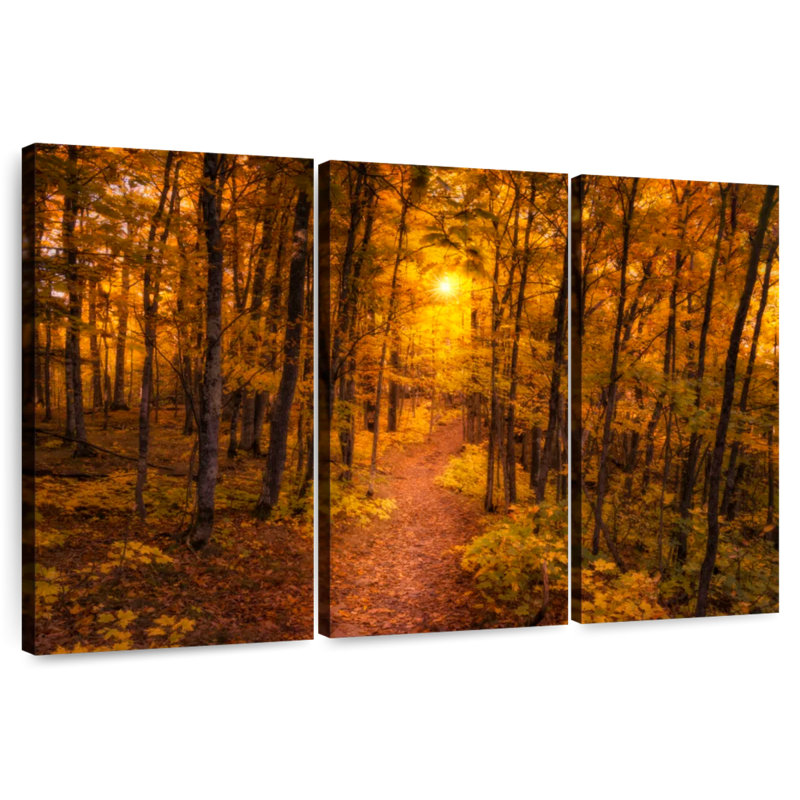 Coucher de soleil sur la forêt Harnek, H 24 po x l 38 po