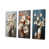 Toile tendue