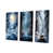 Toile tendue