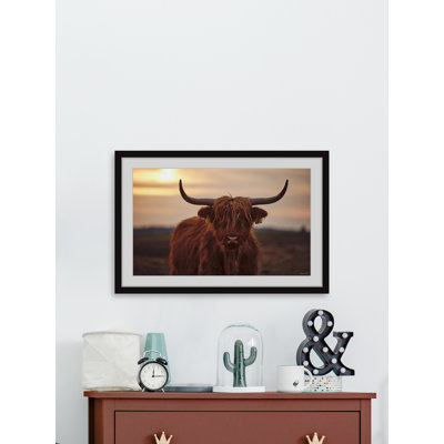 " Sunset And Cows " by Marmont Hill