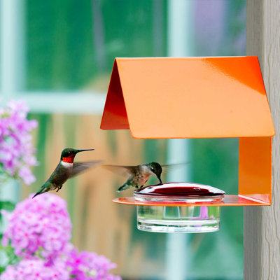Dieguez Metal Hanging Hummingbird Feeder