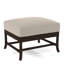 Lafayette Ottoman-49840896-61955291