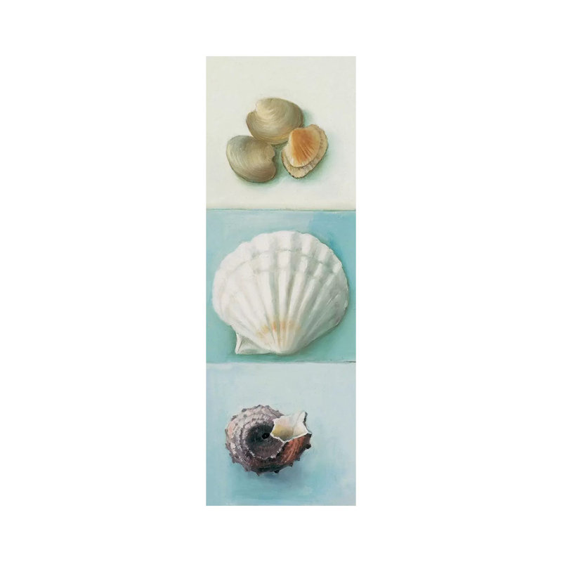 Shell Selection III by Milieu Du Ciel - Wrapped Canvas Panoramic Gallery-Wrapped Canvas Giclée