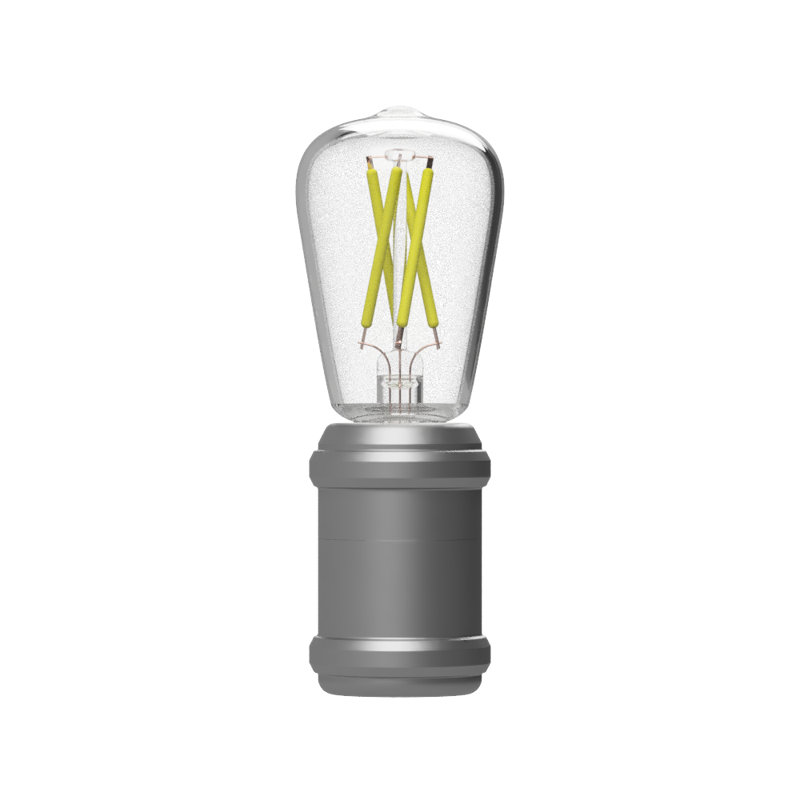 Éclairage de nuit rétro à del edison, Nickel