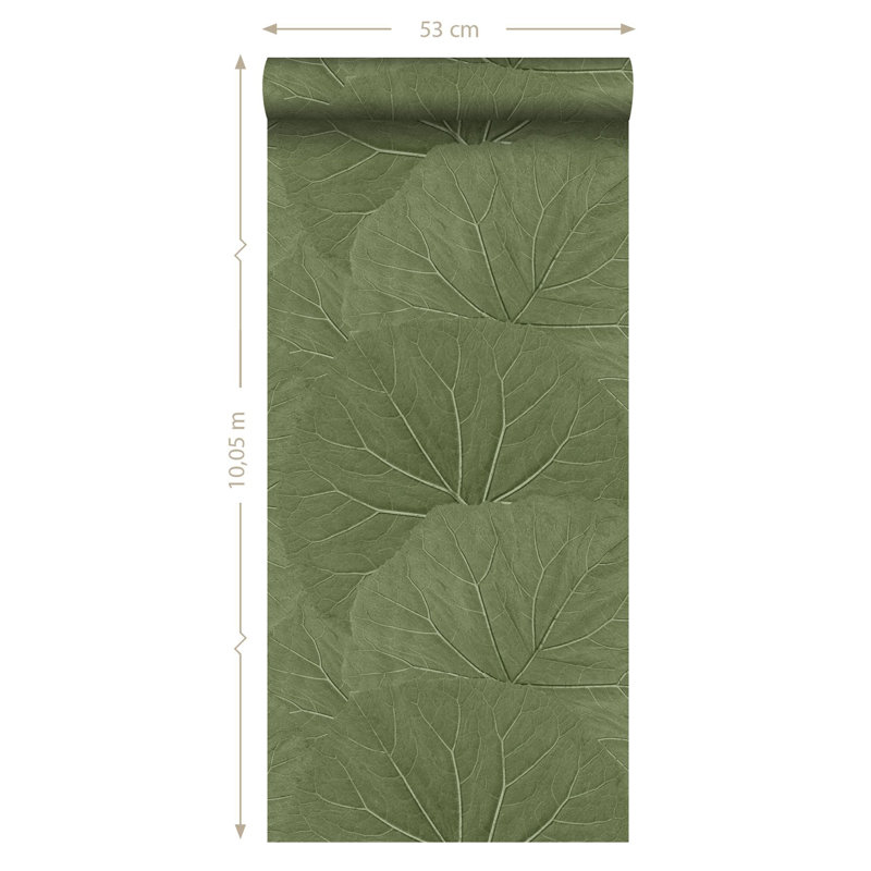 Feuilles doubles, Olive