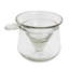 Leontes Martini Glass