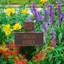 Owl Personalized Garden Sig-521000913-523334964