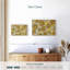 Sunburst Cluster-258804178-258804182