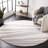 Cohron Performance Abstract Rug-1390416126