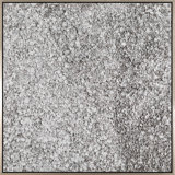 White Petals Painting