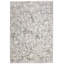 Tapis gris Chardarius-890288684