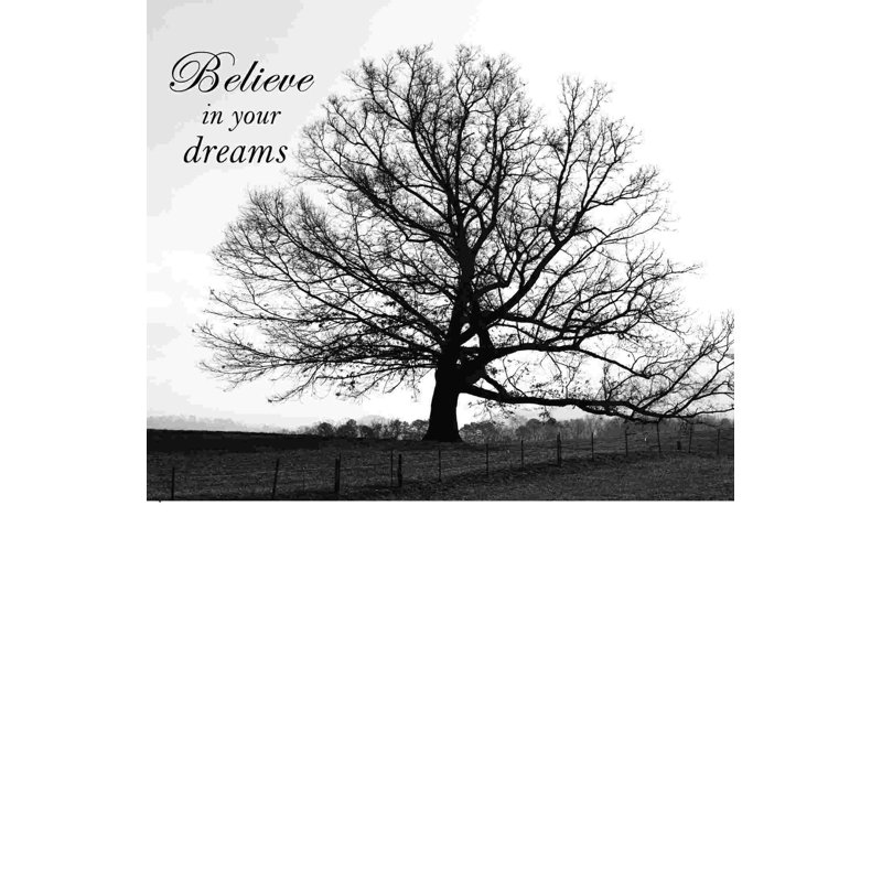 Believe Dreams - peinture sur toile tendue, H 36 po x l 24 po