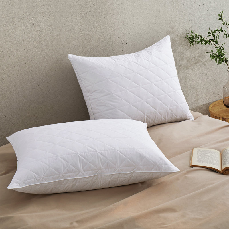 Oreillers gris en plumes d'oie, Standard