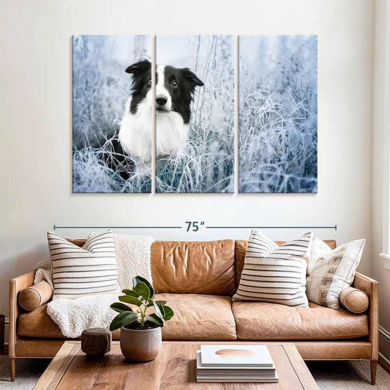 Brampt Winter Border Collie, 42" H x 65" W